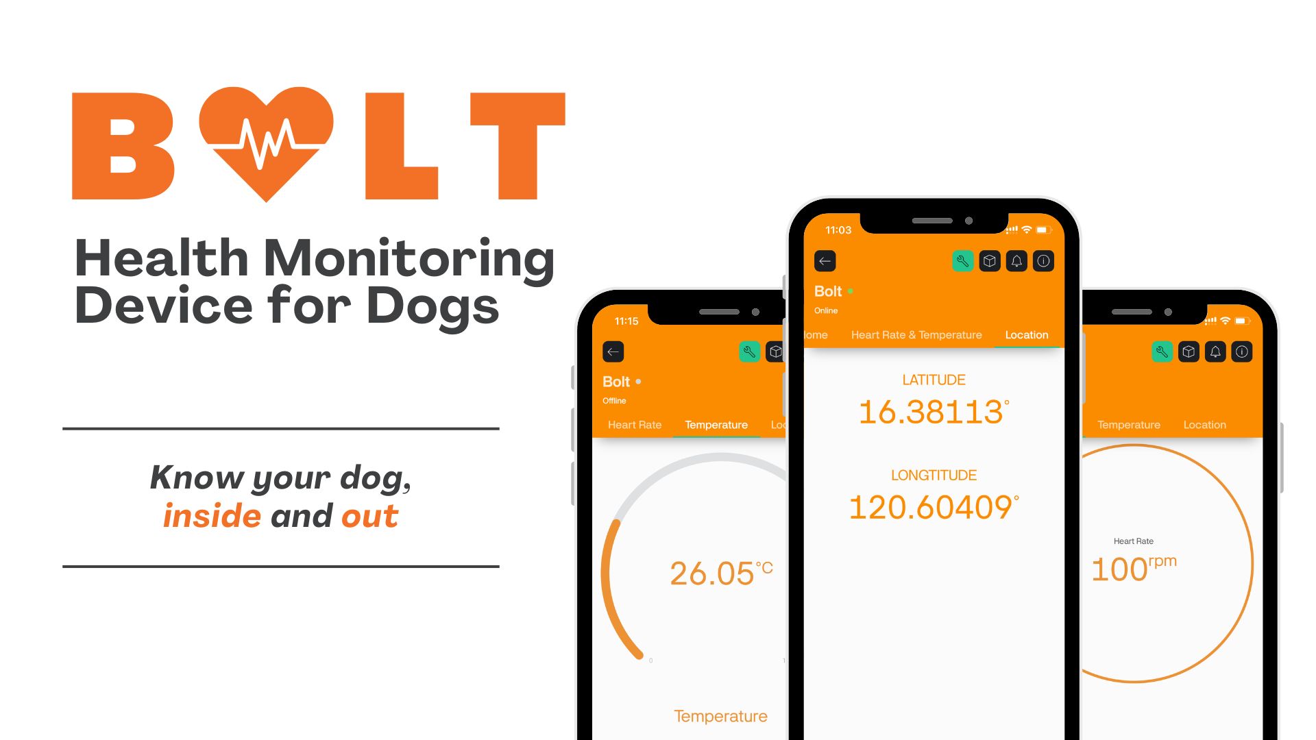 Bolt screenshot